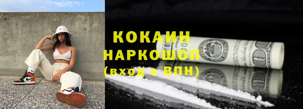 индика Аркадак