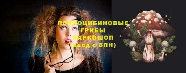 индика Аркадак