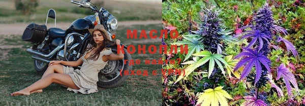 индика Аркадак