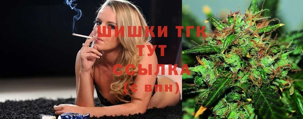 индика Аркадак