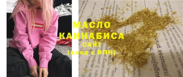 индика Аркадак