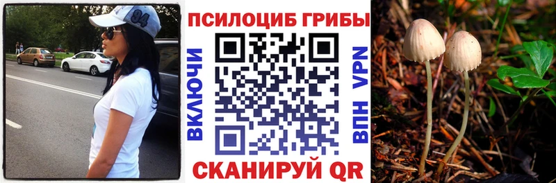 где купить наркотик  Радужный  Галлюциногенные грибы мухоморы 
